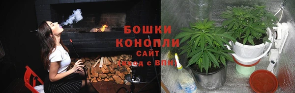 гашик Верея