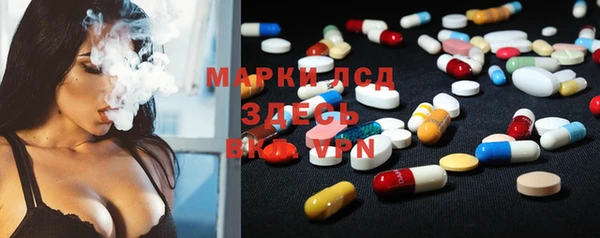 гашик Верея