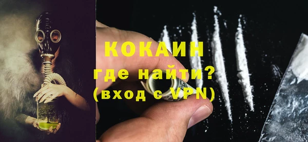 гашик Верея
