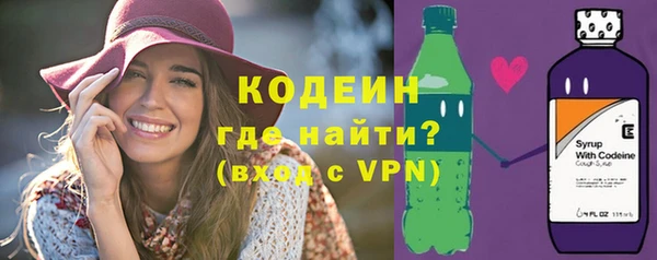 гашик Верея
