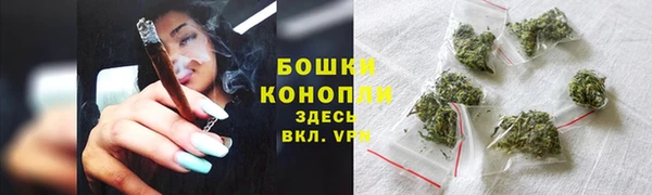 гашик Верея