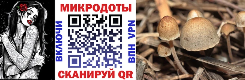 Галлюциногенные грибы Psilocybe  маркетплейс наркотические препараты  Кинешма  наркошоп 